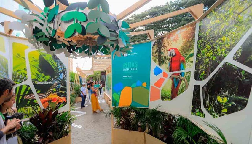 Personas observando stand de la COP16, decorado con naturaleza, especialmente hojas y aves.